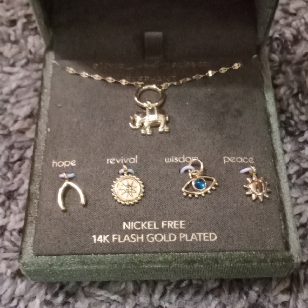 14K Gold Plated Necklace and Charm Set
